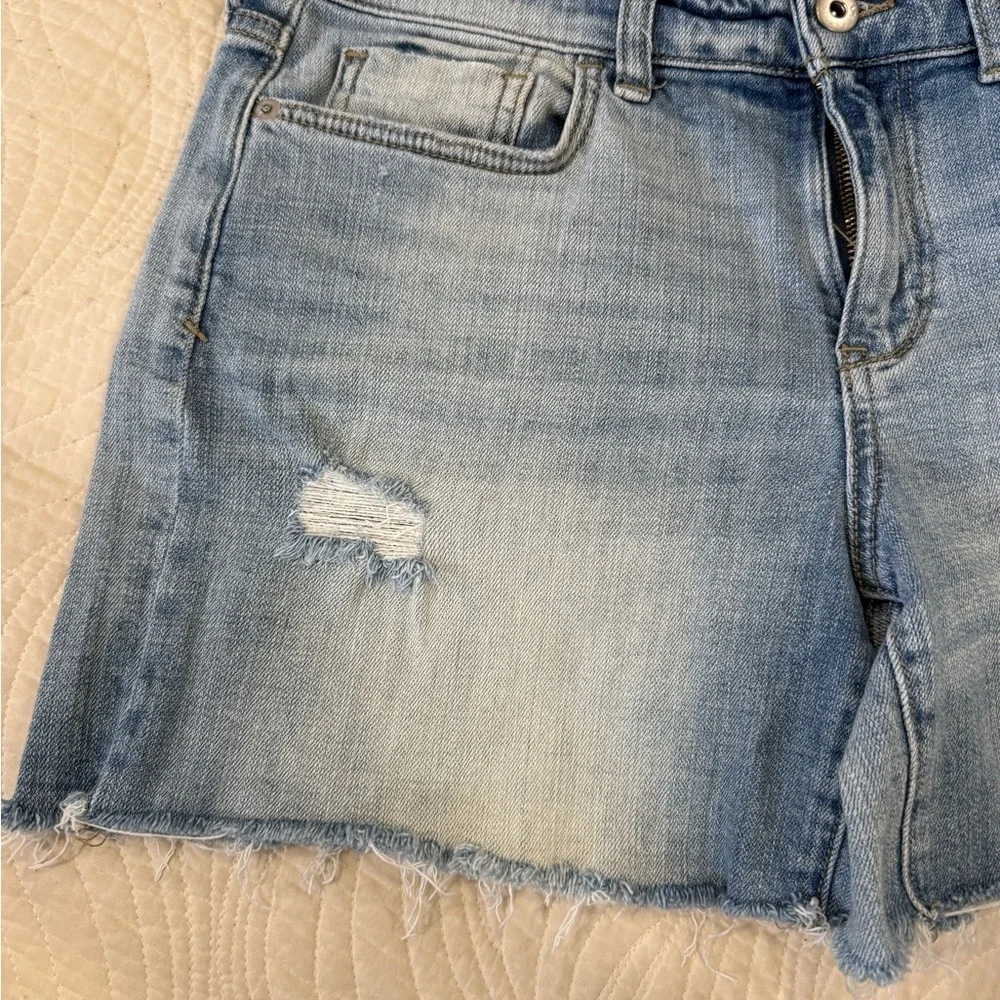 ANTHROPOLOGIE Denim Blue Women's Distressed Shorts